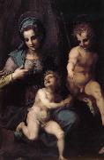 The Virgin and Child with St. John childhood Andrea del Sarto